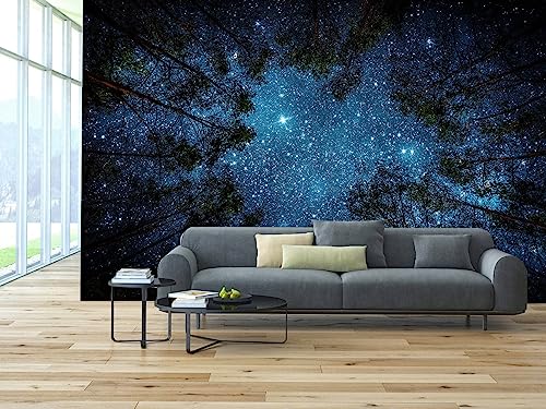 Forest Night Starry Sky Mural Wallpaper for Living Room Ceiling (51.52 Sq Ft)