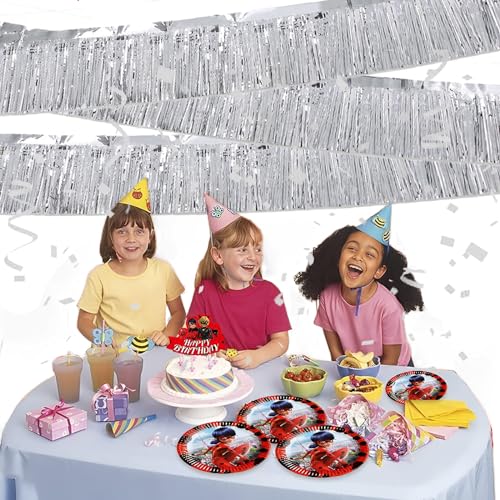 Silver Foil Fringe Garland 10FT 2packs for Parade Float Decorations (20 Foot)