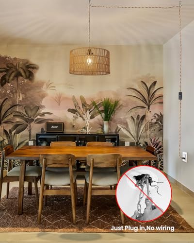 12.6 Inch Boho Hanging Light with Plug in Cord Rattan Hanging Lamp Hand Woven Rattan Wall Lightfor Bedroom