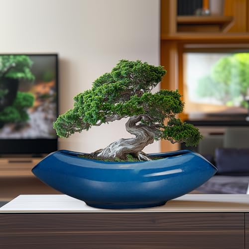Bonsai Tree Pot 18 Inch