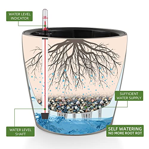 9x8 Self Watering Planter