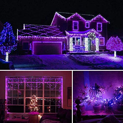 66ft Halloween Decorative Mini Lights (66 Foot)