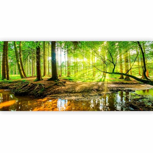 Peel and Stick Wall Mural Peel and Stick Forest 212x98 Inch (11 Count)