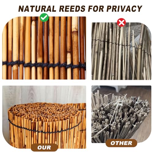 Reed Fencing Rolls (133.34 Sq Ft)