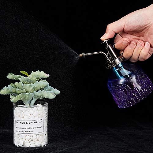 Glass Plant Mister Spray Bottle