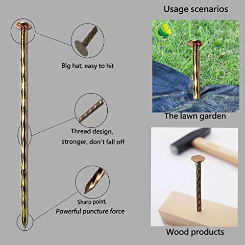 9 Pack 8 Inch Galvanized Tent Spikes