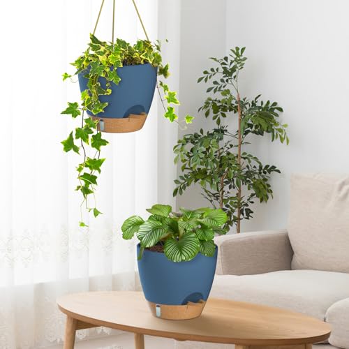 Hanging Planter 8 Inch (2 Count)