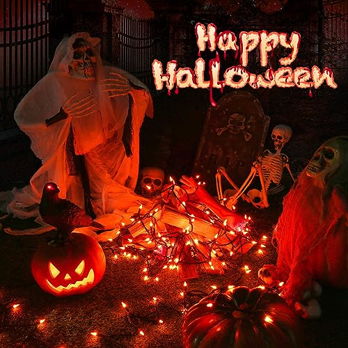 Orange Halloween Lights (12.5 Foot)