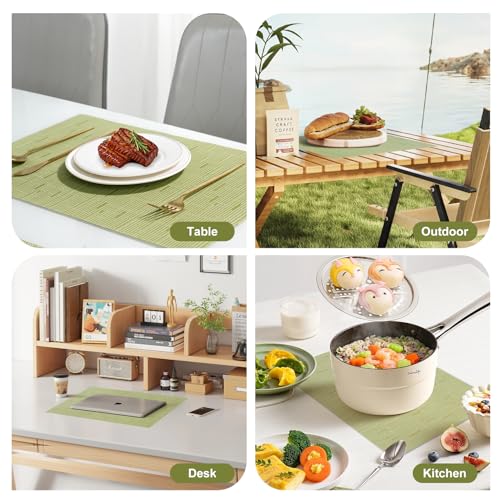 Placemats Set of 12 (12 Count)