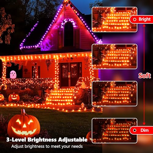 66FT 200 LED RGB Color Changing Halloween String Lights Outdoor (200 Count)