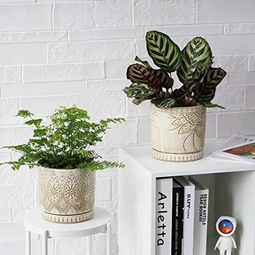 6 Inch Indoor Plant Pots with Drainage Holes and Saucers (2 Count)