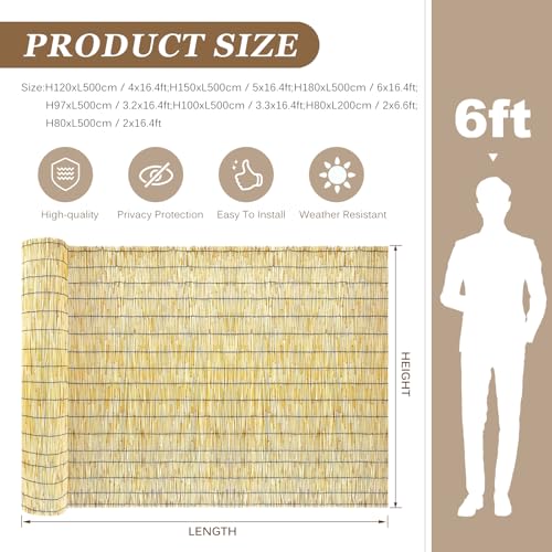 Natural Reed Fencing Rolls (42.84 Sq Ft)
