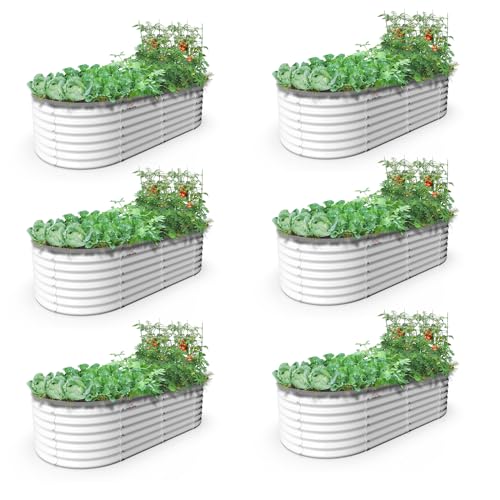 Anleolife 6 Bed 6x3x2ft Oval Galvanized Raised Garden Beds (6 Count)