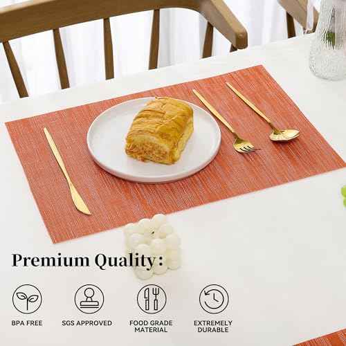 Orange Placemats Set of 6 (6 Count)