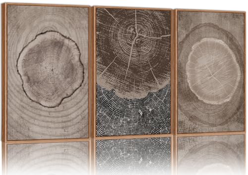 Beige Tree Ring Framed Canvas Wall Art Set (3 Count)