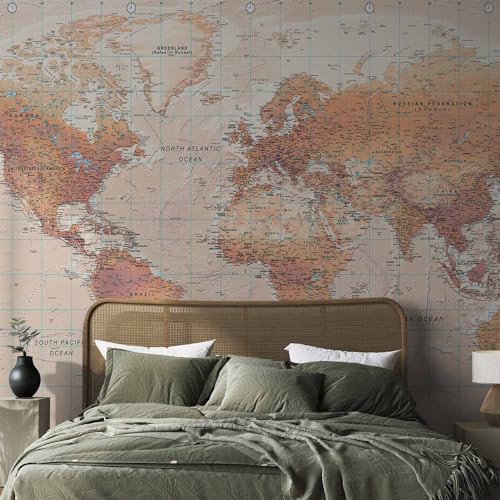 Wall Mural World Map 116x83 in (66.41 Sq Ft)