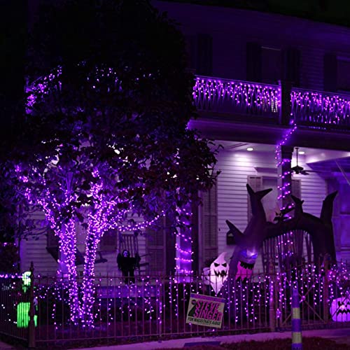 Purple Halloween Fairy String Lights (20 Foot)