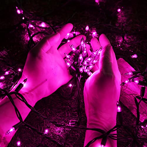 Purple Halloween Lights (75 Foot)