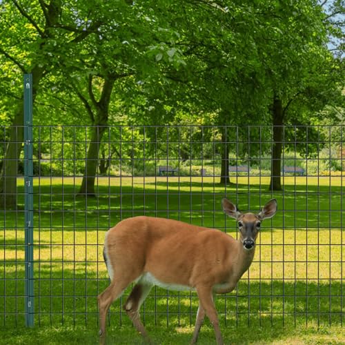 Welded Wire Fence (100 Sq Ft)