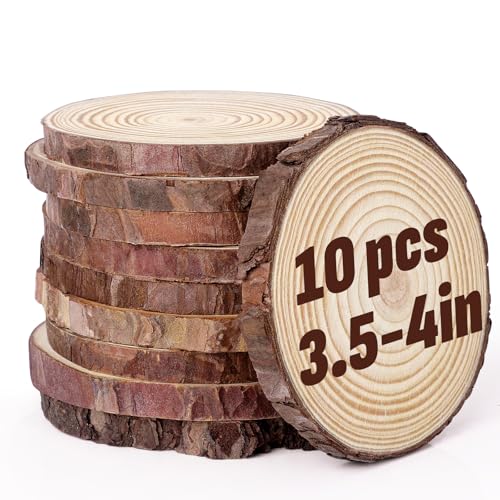 Unfinished Natural Wood Slices 3.5 (10 Count)