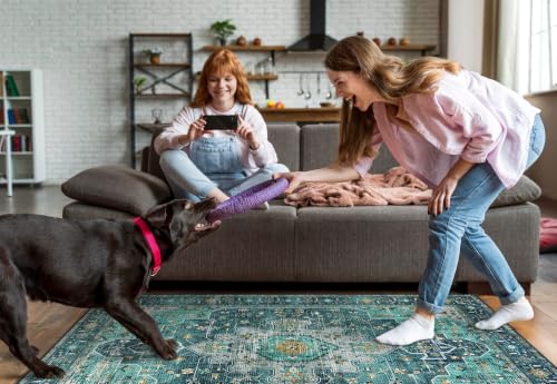 Ultra Thin Washable Area Rug