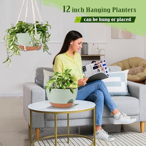 2 Pack 12 Inch Self Watering Hanging Planters for Indoor Outdoor Plants (2 Count)