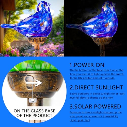Decorative Solar Lights