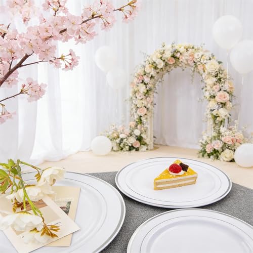 60PCS Silver Plastic Plates (60 Count)