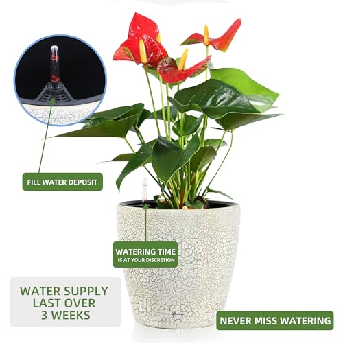 13x12 Self Watering Planter with Wheels