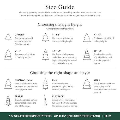 Stratford Spruce