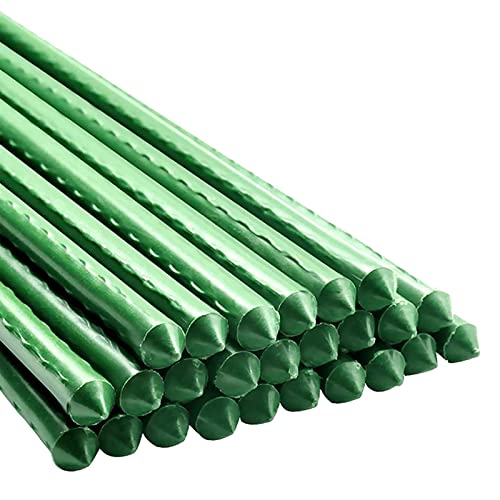 Garden Plant Stakes (25 Count)
