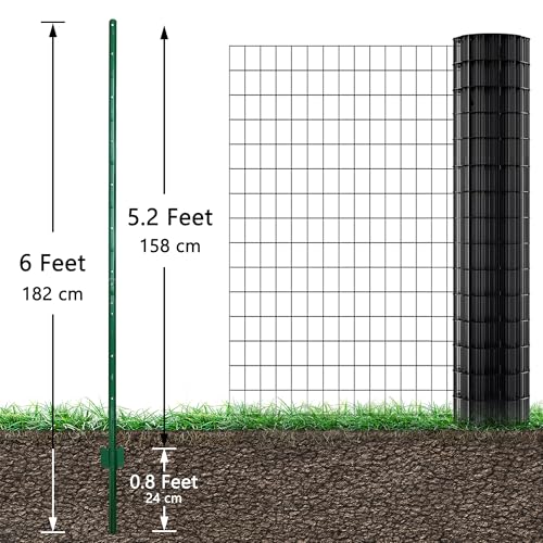 Fence Posts 6 Feet
