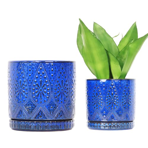 8 Inch + 6 Inch Indoor Plant Pot with Drainage Holes and Saucers (2 Count)