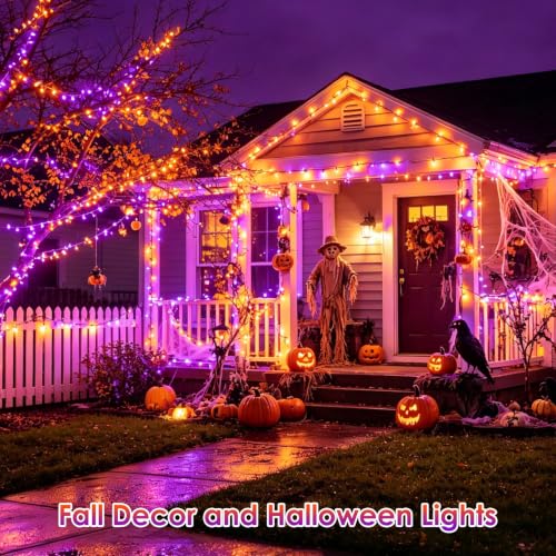 Smart Color Changing Christmas Halloween Tree Light String 66 FT 200 LED