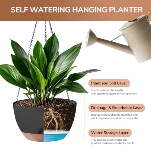Hanging Planter for Indoor Plants (2 Count)