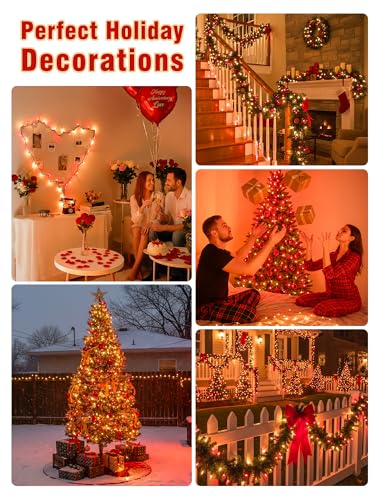 Red Warm White Christmas Lights (50 Count)
