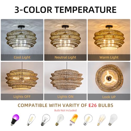 19.7" Rattan Pendant Light