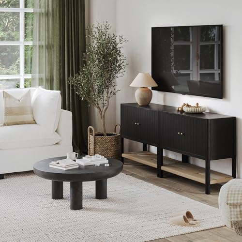 Meads Mid Century Modern Cabinet or TV Stand with Doors (2 Count)