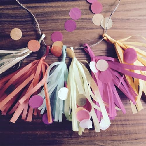 Shiny Tassel Garland Tissue Paper Tassel Banner (15 Count)