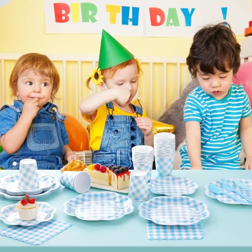 175 Pcs Blue Gingham Plates and Napkins Party Supplies