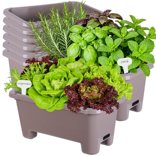 Self Watering Rectangle Planter Boxes 8 (8 Count)