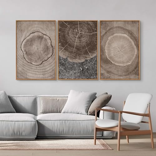 Beige Tree Ring Framed Canvas Wall Art Set (3 Count)