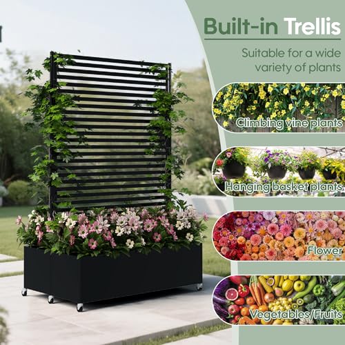 Double Metal Planter Box with Trellis Privacy Screen