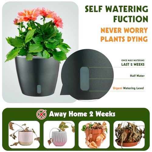 Self Watering Pots for Indoor Plants