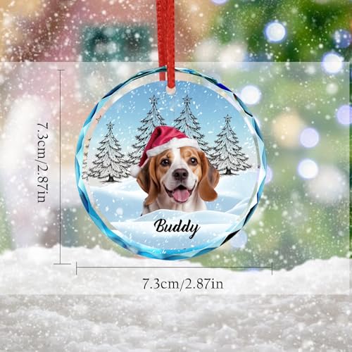 Personalized Pet Memorial Gift 2025 Custom Photo Crystal Christmas Ornament in Loving Memory of Dog