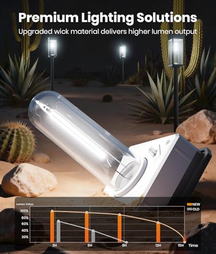 Solar Lights Outdoor (6 Count)