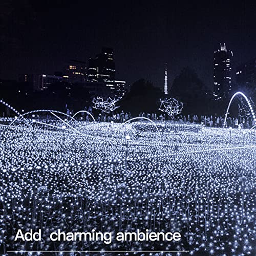 33ft 100 LED Outdoor String Lights