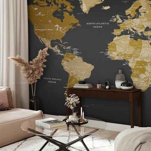 Wall Mural World Map 197x110 in