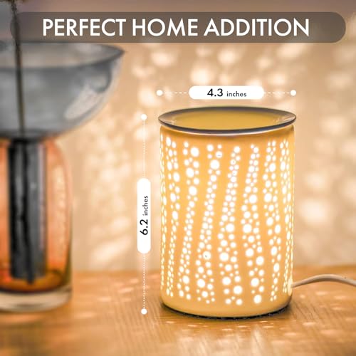 Electric Wax Melt Warmer for Scented Wax or Oil Ceramic Wax Warmer