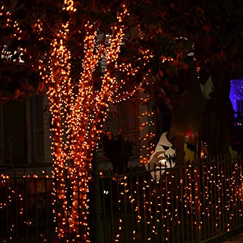 Orange Halloween Fairy String Lights (20 Foot)
